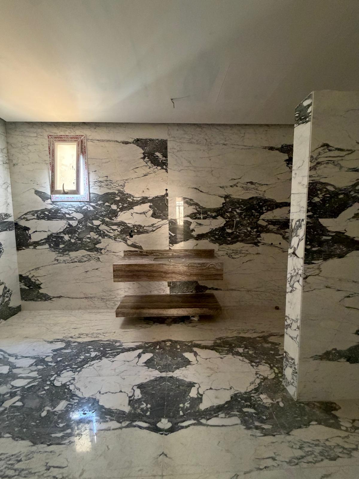 Calacatta Marble Powder Room